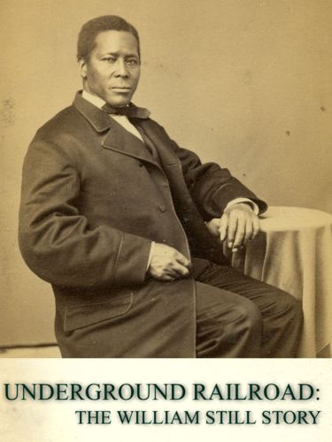 Underground Railroad The William Still Story (2012) Laine Drewery